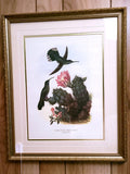 Hummingbird and Cactus Print