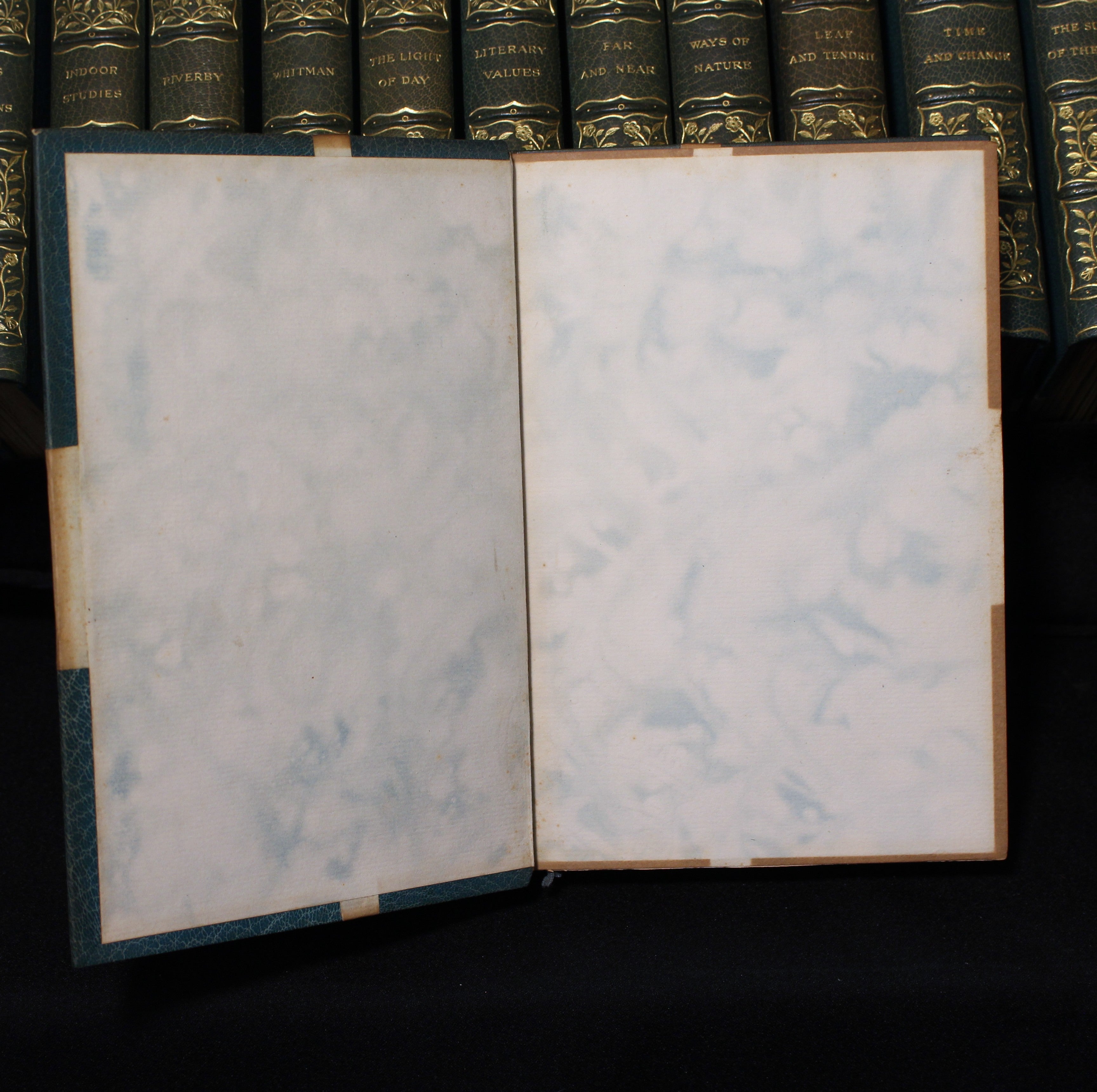 The Writings of John Burroughs- Twenty-Three Volumes