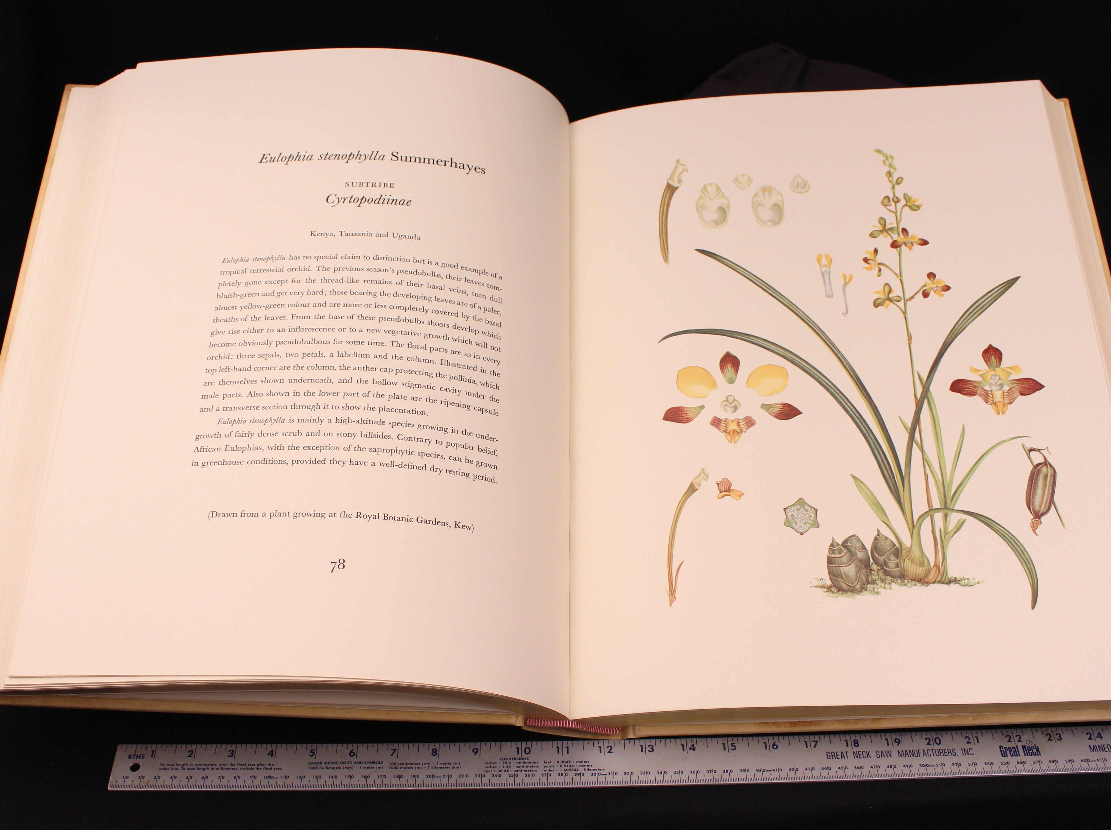 Orchidaceae- First Edition, Signed & Numbered Rare Book