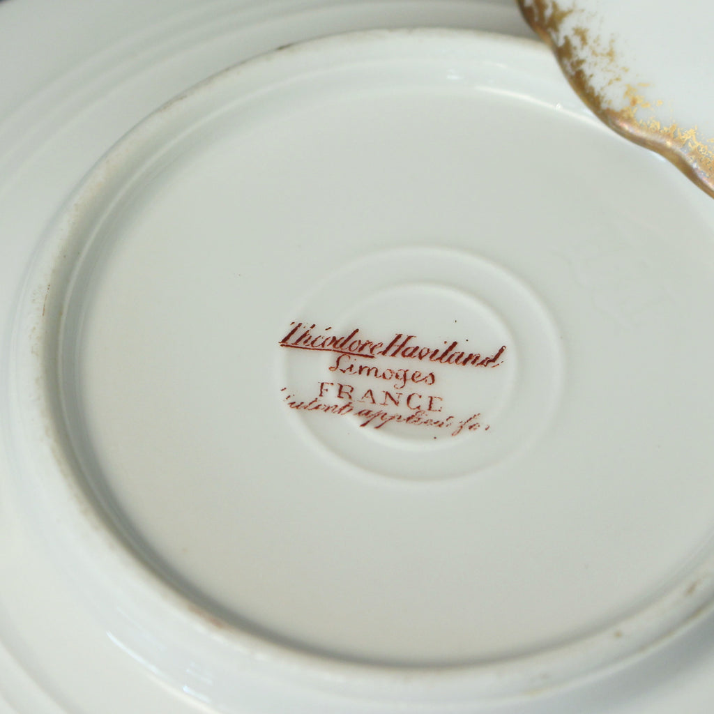 Custard Dishes with Saucers- Limoges by Haviland- Set of Five