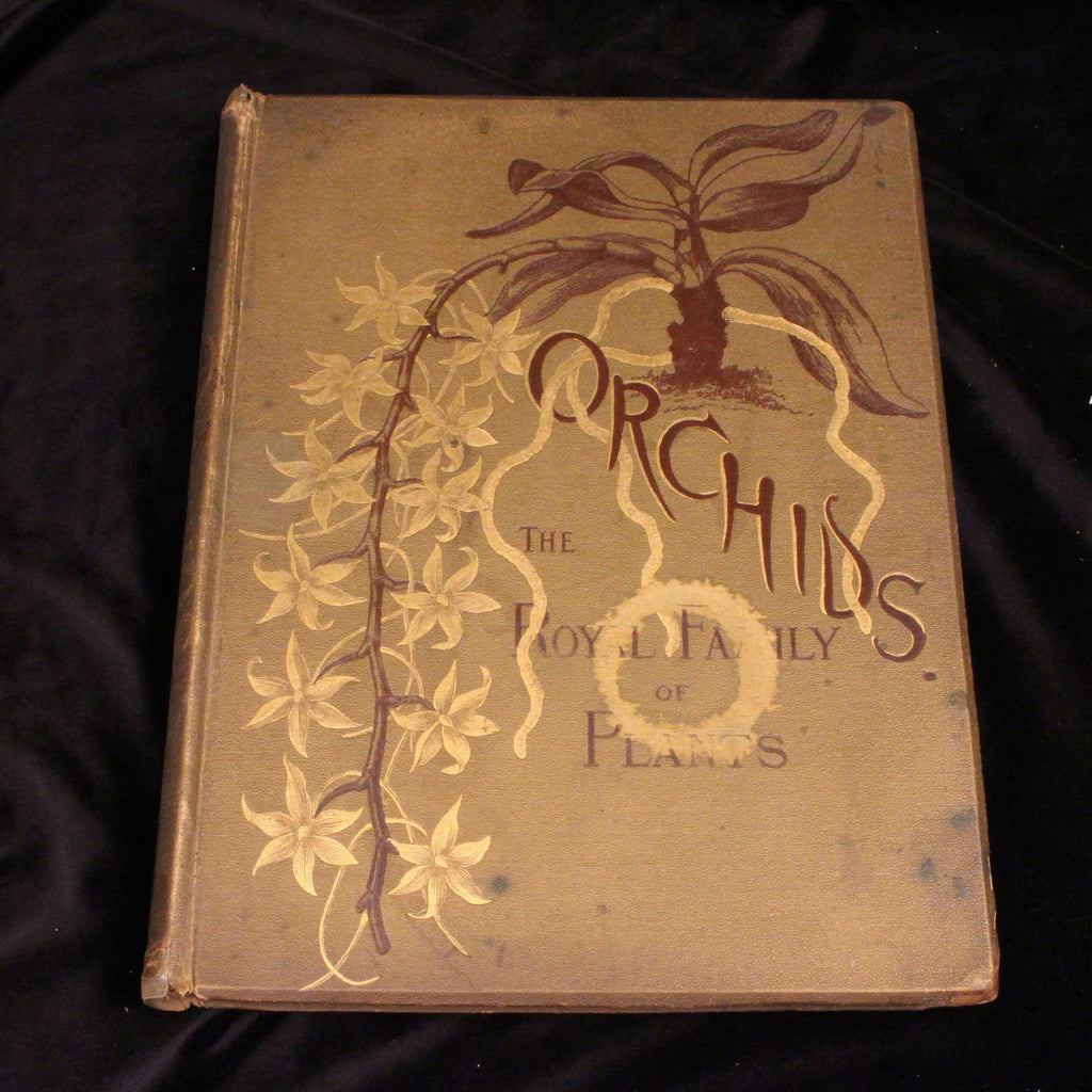 Orchids: The Royal Family of Plants